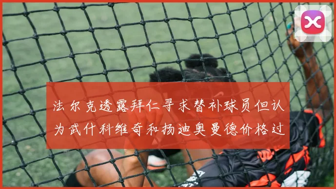 法尔克透露拜仁寻求替补球员但认为武什科维奇和扬迪奥曼德价格过高