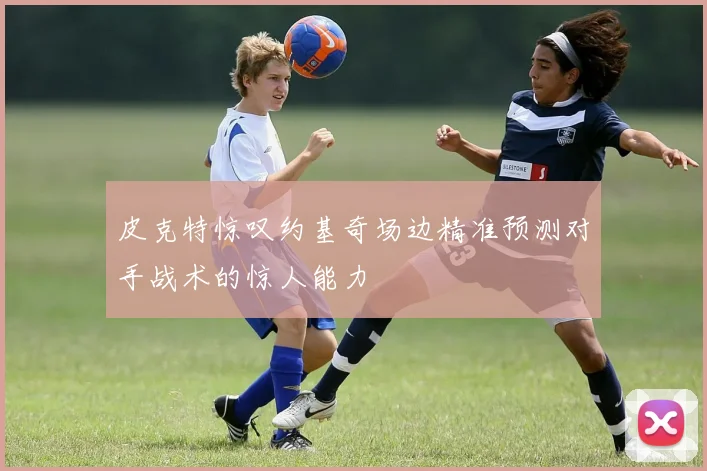 皮克特惊叹约基奇场边精准预测对手战术的惊人能力