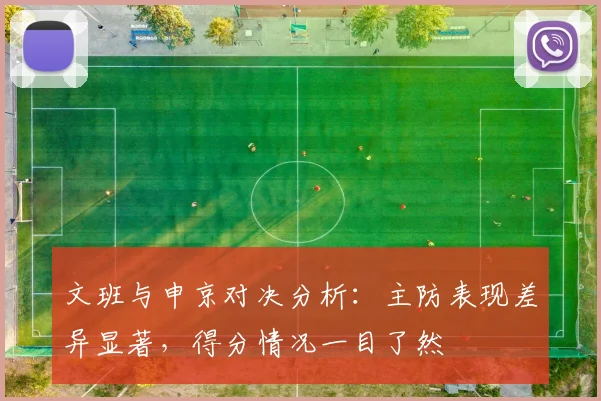 文班与申京对决分析：主防表现差异显著，得分情况一目了然