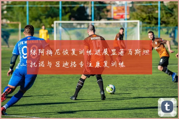 琼阿梅尼恢复训练进展显著马斯坦托诺与吕迪格专注康复训练