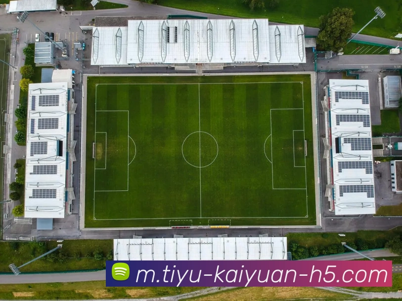 App Interface Preview