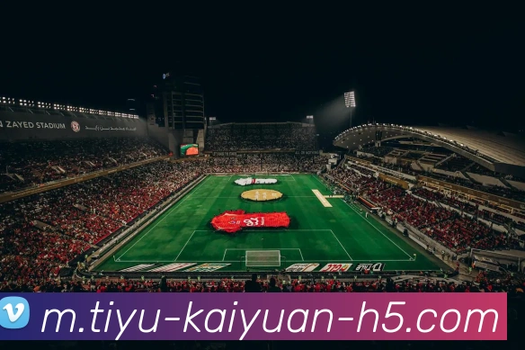 开元体育APP 封面图