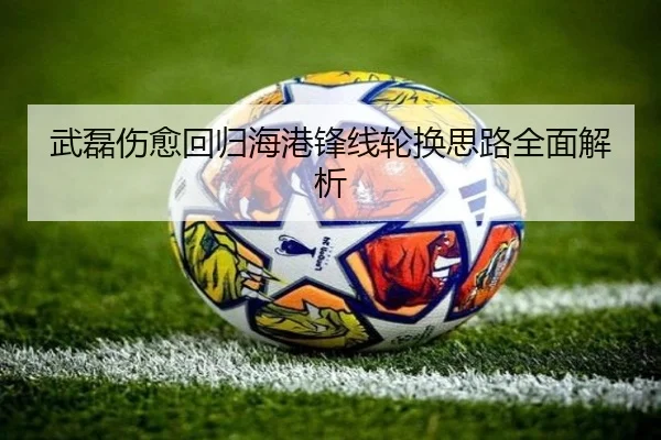 武磊伤愈回归海港锋线轮换思路全面解析 - kaiyuan
